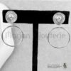 Boucle d'oreille en argent
